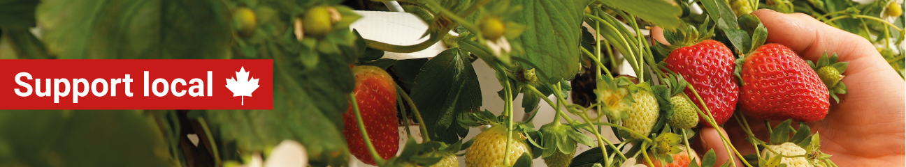 Buy Canadian products from Dubois Agrinovation