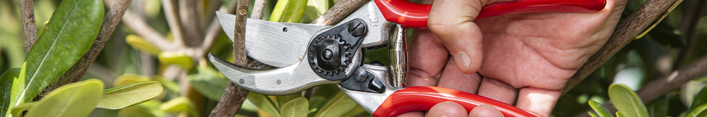 Pruning shears and scissors