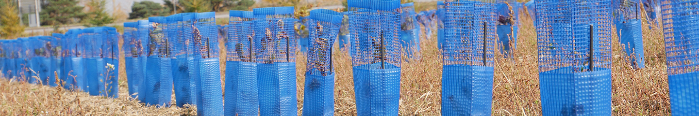 Tree protection tubes
