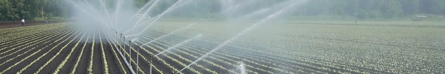 Irrigation