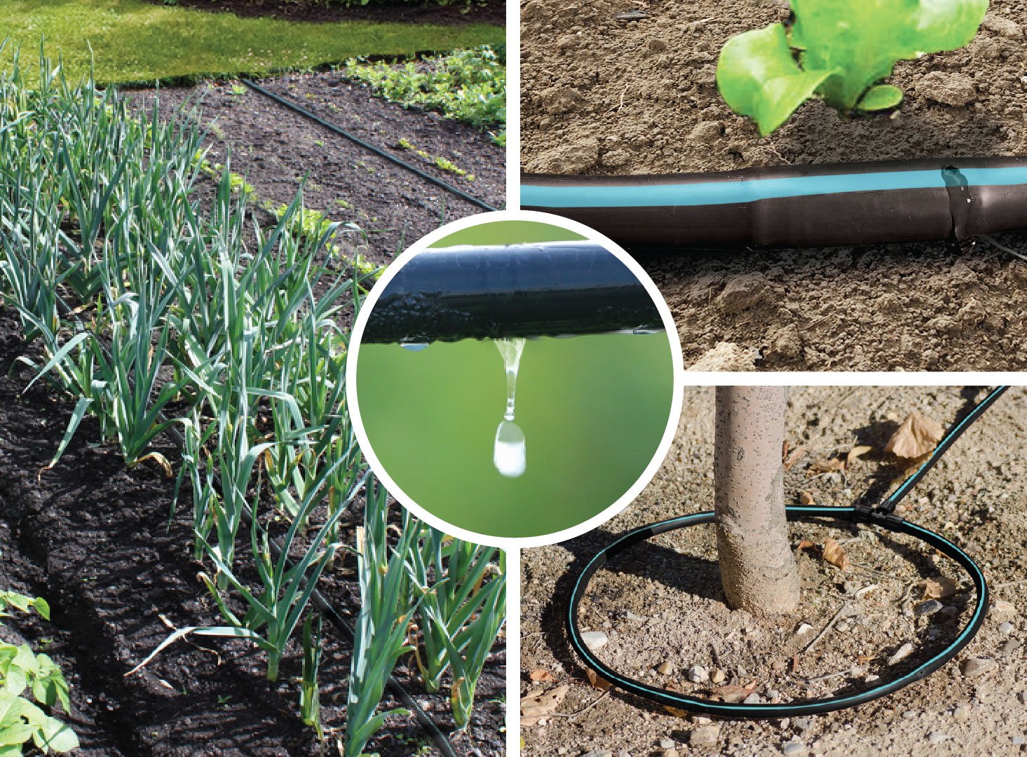 Système d'irrigation PBS-2, Systèmes et doseur d'irrigation