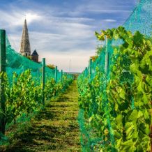 Filet Anti-insectes, Potager Filet De Protection Net, 2.5x6m Grandir