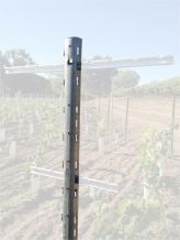 P5M Strip Galvanized Post for Cross Bar Trellissing System