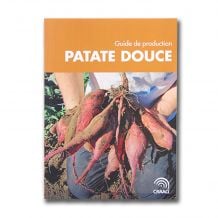 Patate douce | Guide de production
