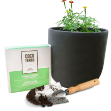 CocoTerro® Potting Soil Mix 10L