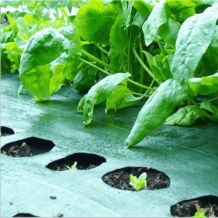 Couvre-Sol tissé vert pour serres, pépinières et centres de jardinage - 3.2 oz