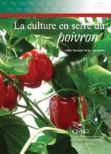 La culture en serre du poivron