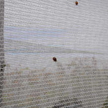 Sidewall Insect and Bird Netting