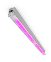 Philips LED Toplighting Linear 2.1 Regular Output (RO)