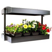 T5HO 12-in Black Growlight