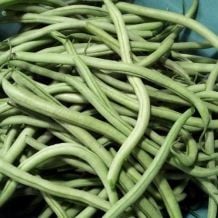 INACTIVE - NAIN MAXIBEL BEANS - BIO