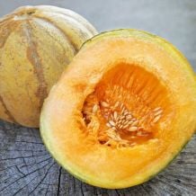 Semence biologique de l'Écoumène melon brodé d’Oka