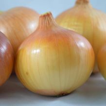 INACTIVE - OF PARMA PARMA ONION - BIO