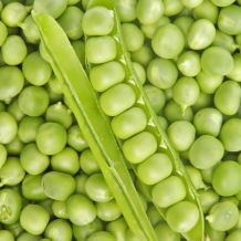 INACTIVE - PETIT PROVENCAL PEAS - BIO