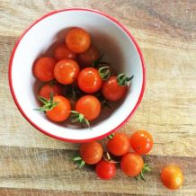 Tomate cerise Petit Moineau