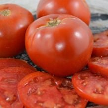 Semence biologique de l'Écoumène tomate standard Moskvich