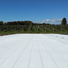 White Ground Cover - 3.2 oz