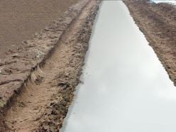 Biodegradable White on Black Mulch Film