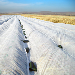 Toile de protection contre le gel sur vignes