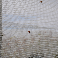 Sidewall Insect and Bird Netting