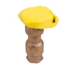 Vanne d'accouplement rapide à entrée 3/4" et couvercle caoutchouc