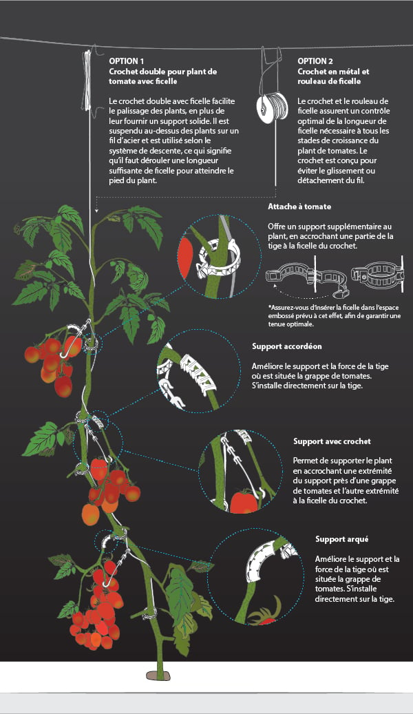 Outils de support tomates