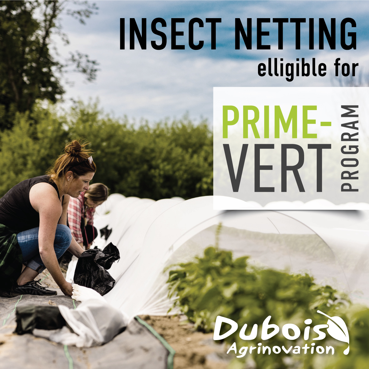 Anti-insect nets covered by Prime-Vert